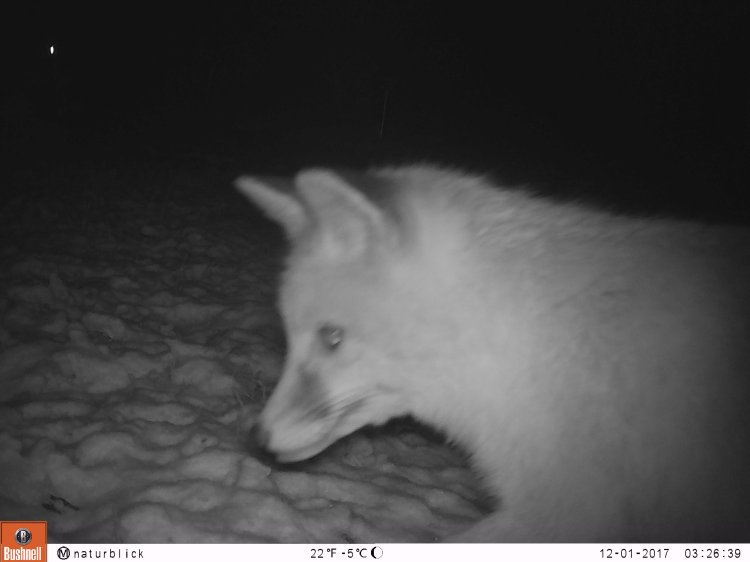 M2E102A1L0-826.0859985-98.3420028