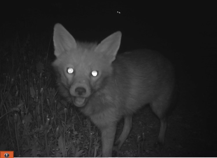 M2E108A1L0-886.9719848-64.1139984